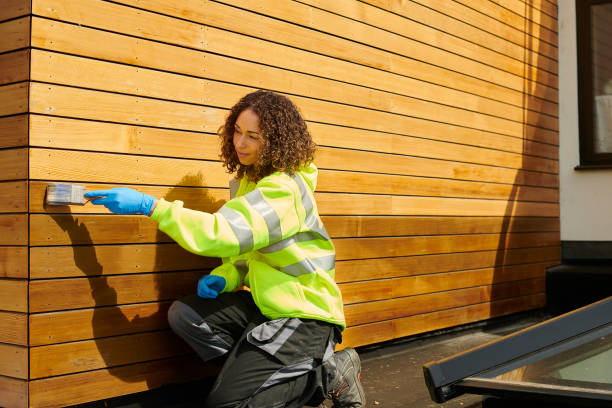 Best Brick Veneer Siding  in Beechwood, MS