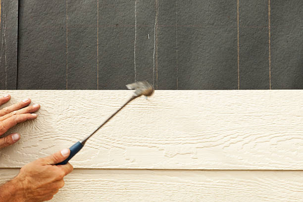 Best Engineered Wood Siding  in Beechwood, MS
