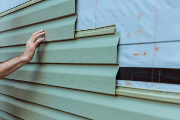 Best Vinyl Siding Installation  in Beechwood, MS
